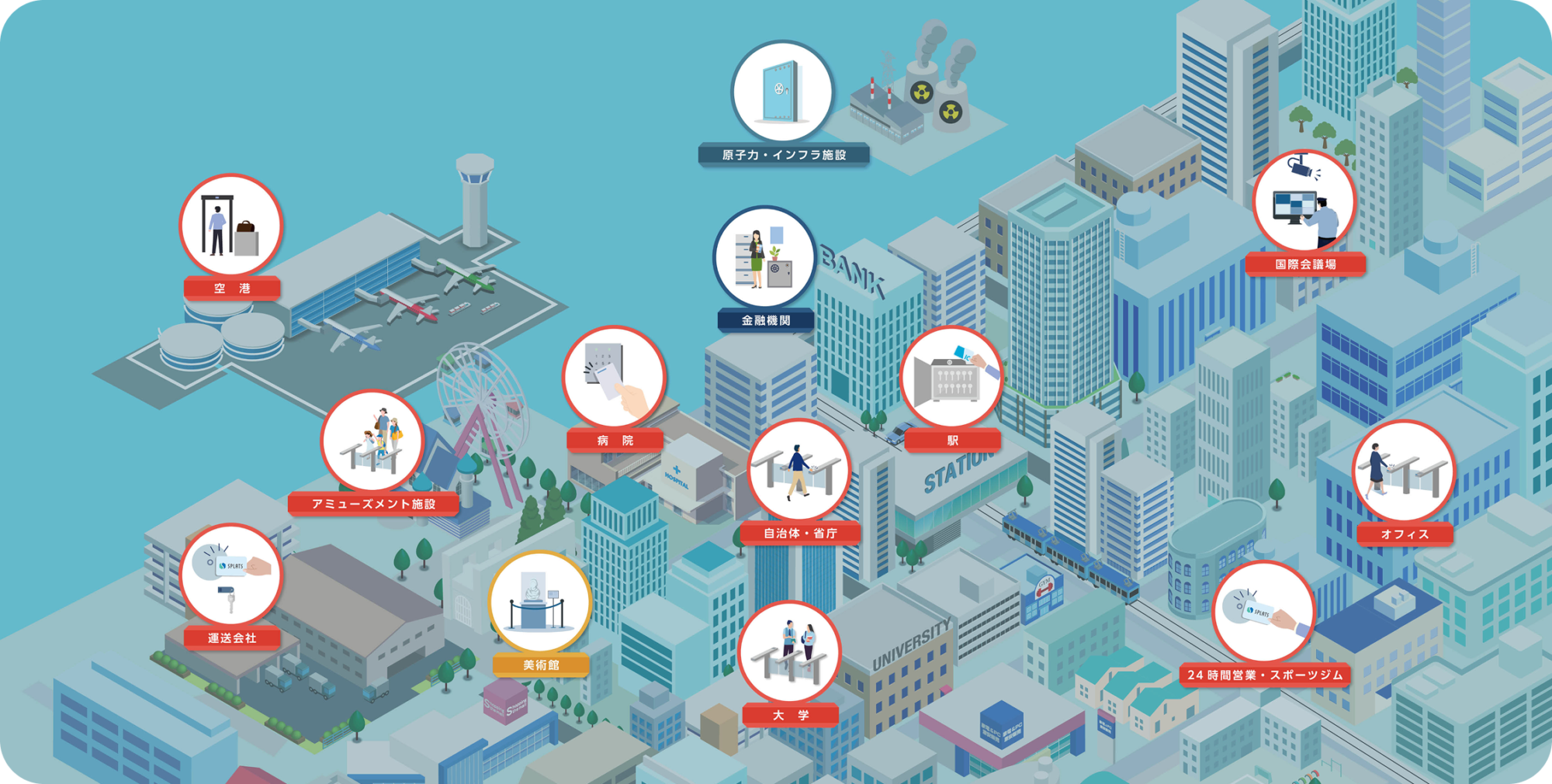 身近なところにクマヒラ