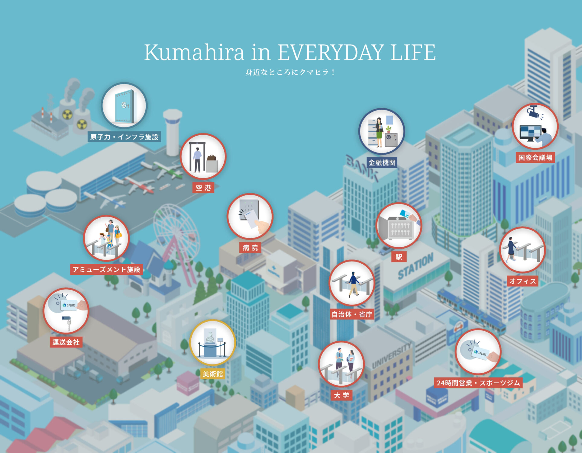 身近なところにクマヒラ！