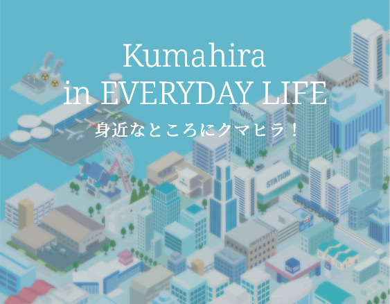 身近なところにクマヒラ！